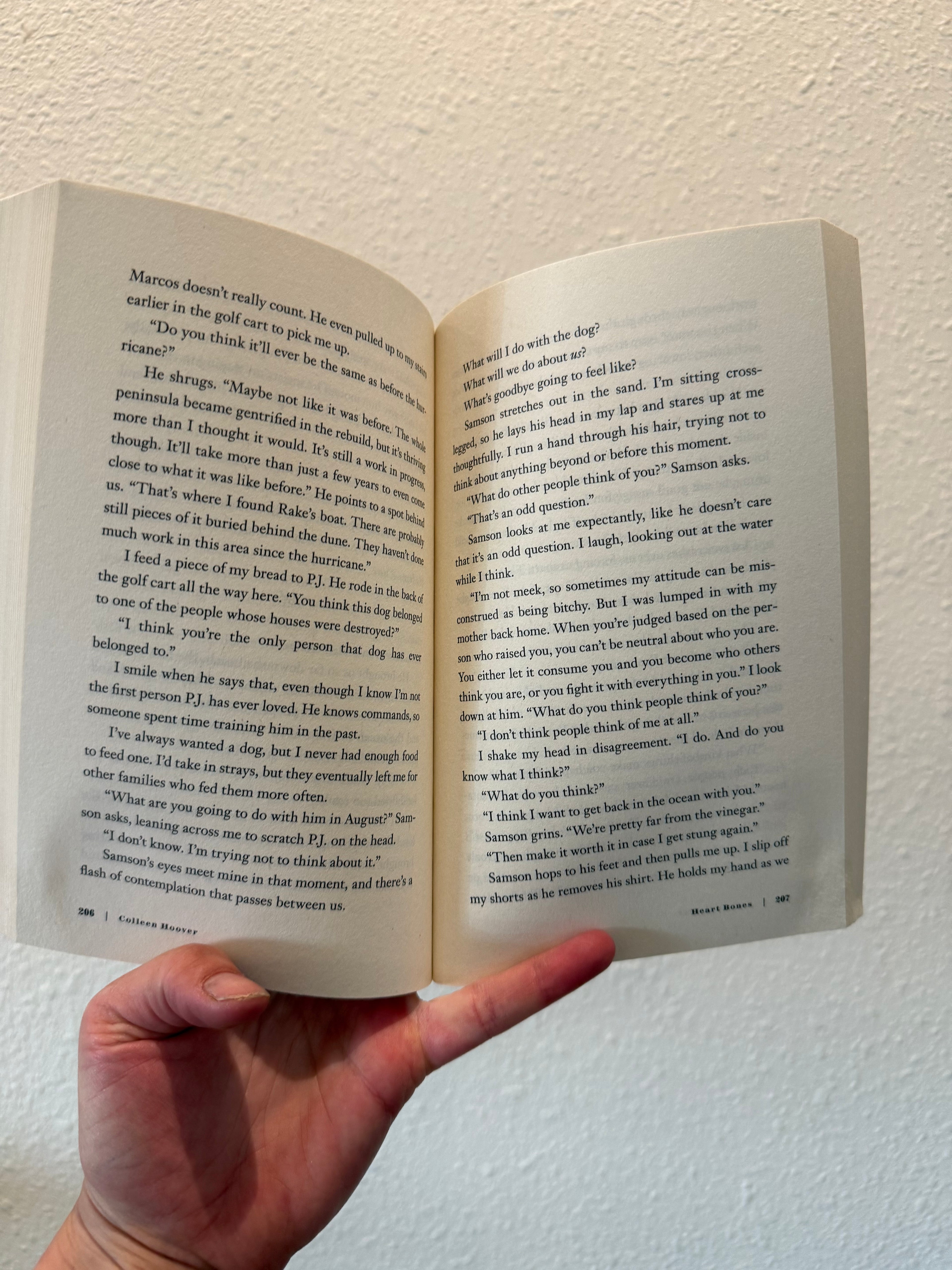 Heart Bones-Colleen Hoover
