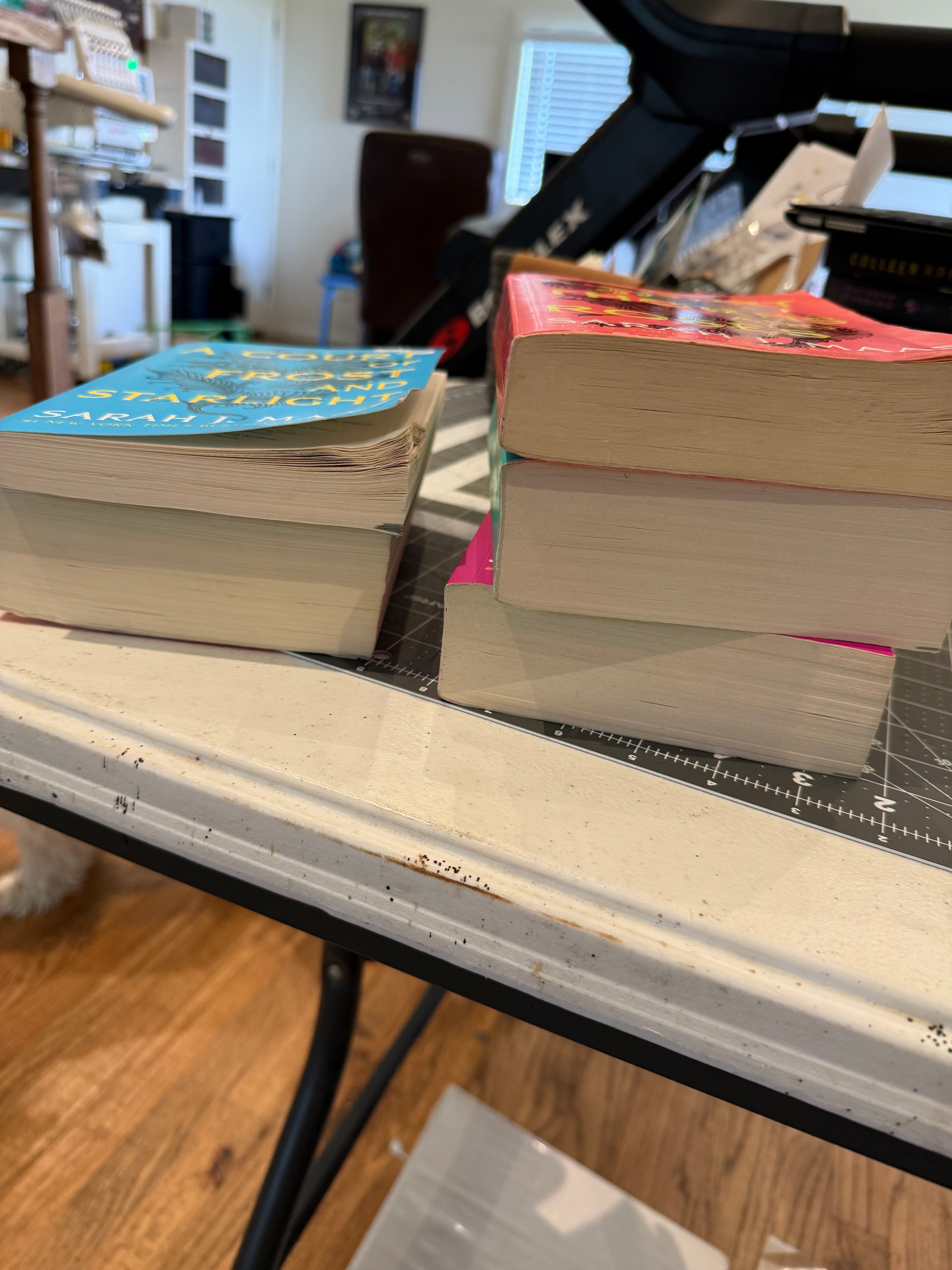 A Court of Thorns and Roses-Sarah J Mass
